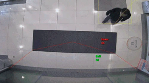 Video Analytics — visual principal Digifort